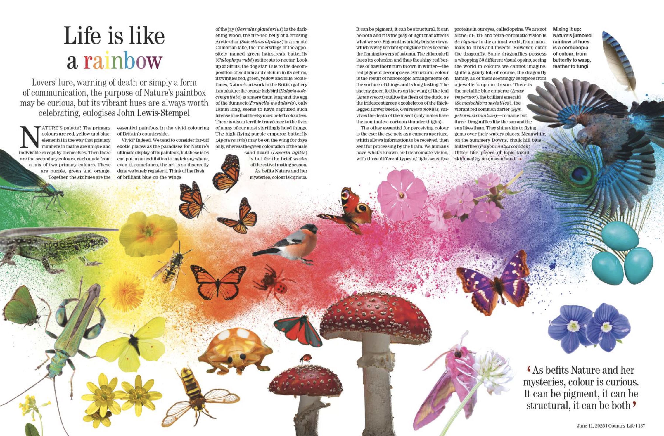 Spreads from Country Life 11 June 2025