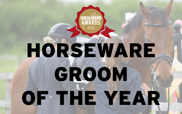 GROOM-horseware.jpg