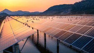 Swarms of night herons sit on a solar photovoltaic panel in Ninghai County, Zhejiang Province, China.