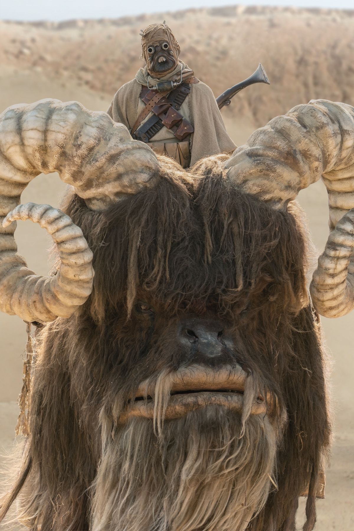 Season two of "The Mandalorian" on Disney Plus launches on Oct. 30 to bring Baby Yoda back to all of us.