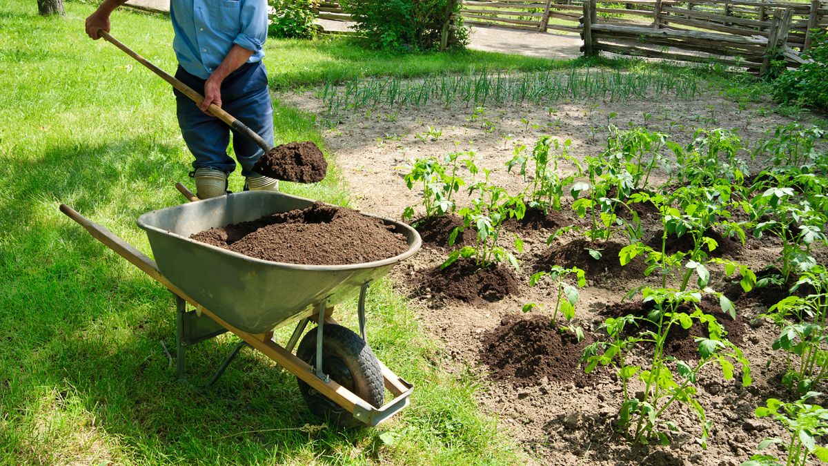 How Much Topsoil Do I Need For My Garden Project? Homebuilding
