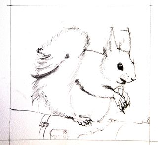 image of a squirrel