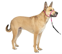 PetSafe Gentle Leader Headcollar, $19.95 at Walmart
Designed by a veterinary behaviorist, the Gentle Leader Headcollar