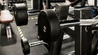 Fixed barbells on a rack in the gym close up
