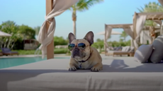 Google Gemini Advanced video with Veo 2