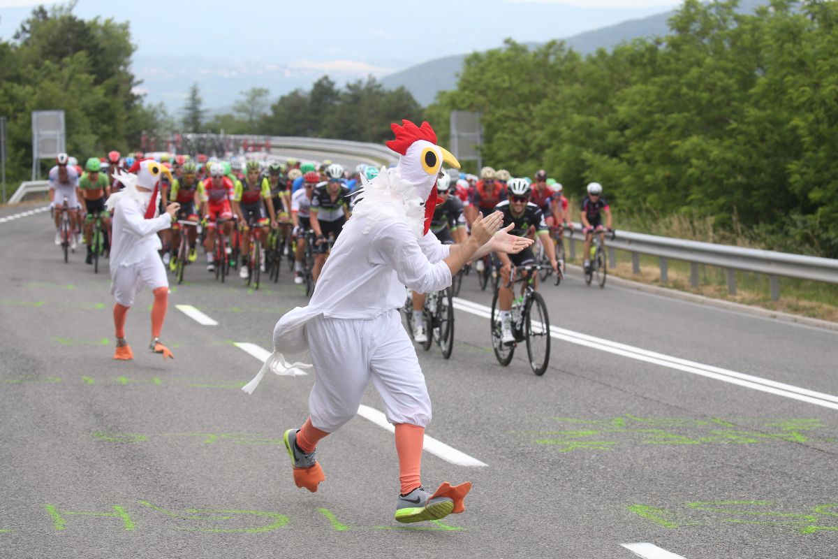 Some local chickens cheer on the peloton to the amusement of the riders