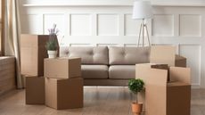 Moving boxes piled up with tan sofa