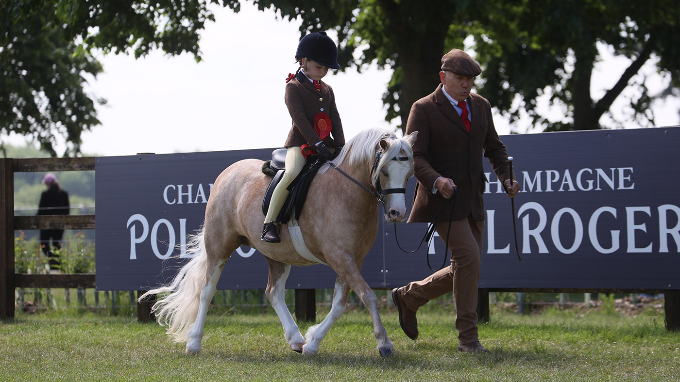 Simon Constable leads his daughter Zara on Glyncoch Honey Pot to victory in both the open mini Mountain and Moorland (M&amp;M) and the Pretty Polly (home-produced) championships at Royal Windsor Horse Show