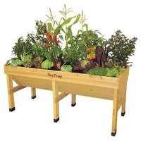VegTrug Raised Planter