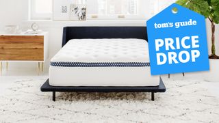 A WInkBed mattress on a bed frame in a bedroom, a Tom's Guide price drop deals graphic (right)