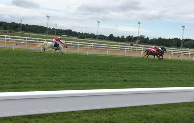 Mini jockeys…