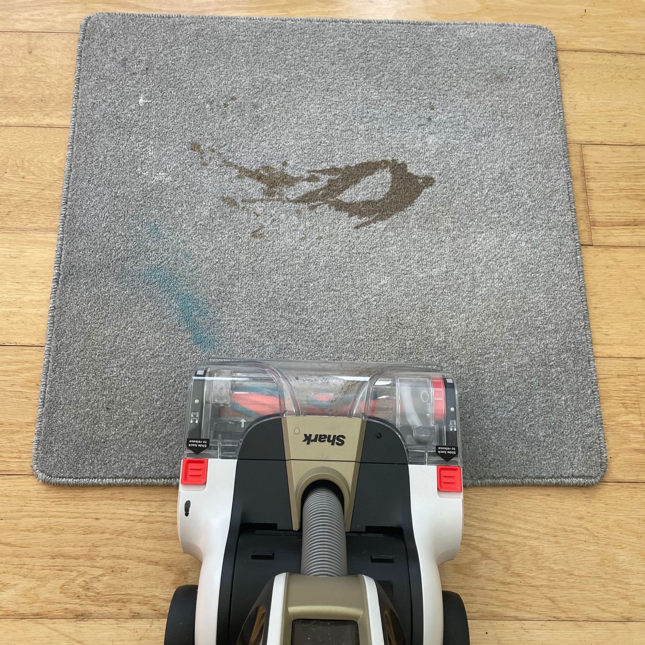 Shark CarpetForce Upright Carpet Cleaner in front of a grey carpet sample with coffee and toothpaste stains on it