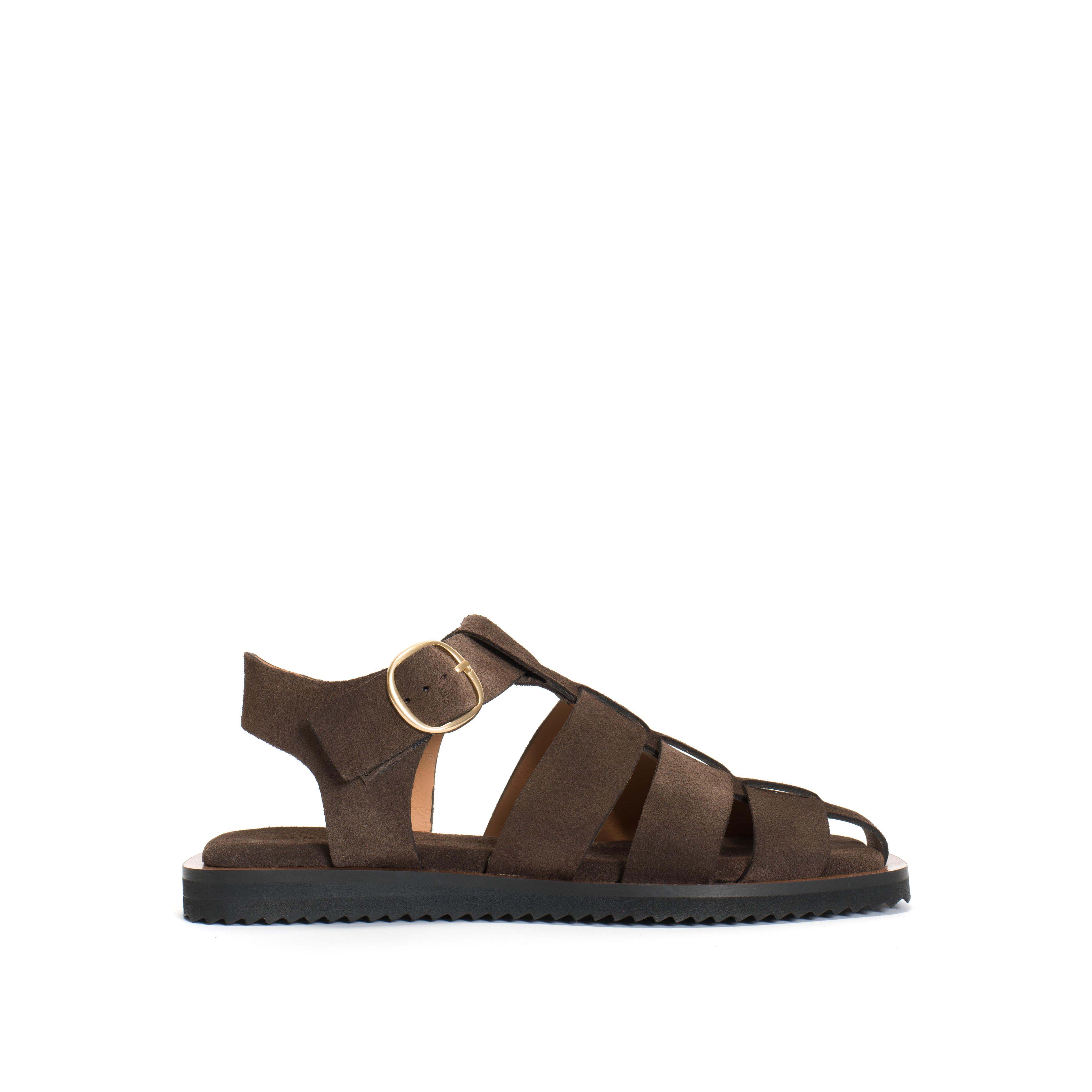 Hampell Calf Suede Coffee Brown