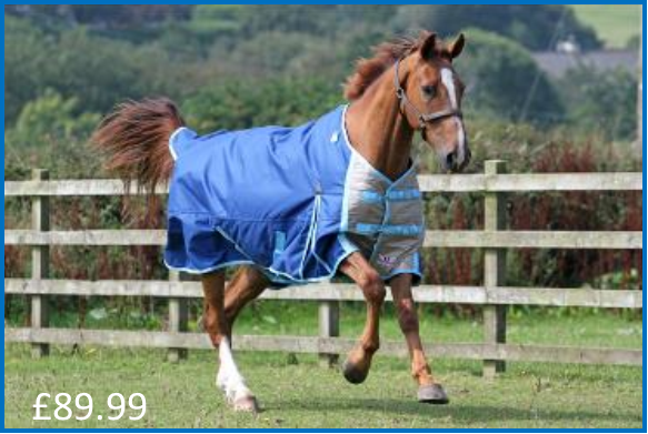 Standard neck rug