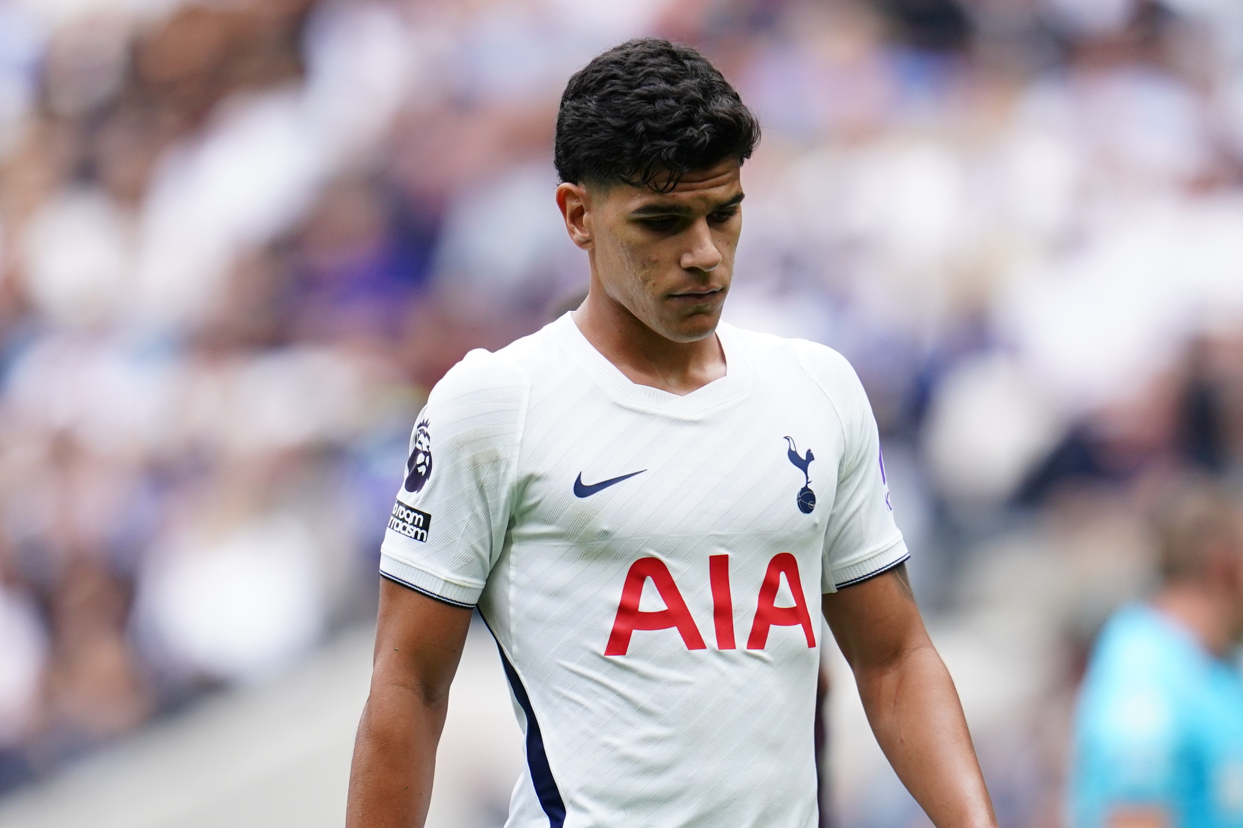 Mateus Fernandes has had a difficult start to life at Spurs