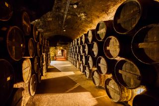 Barrel cellar house Baron Otard, Chateau Francois 1st, Cognac Charente France