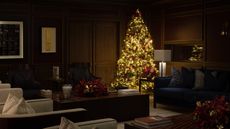 A dimly lit living room with a brightly lit Christmas tree in the corner