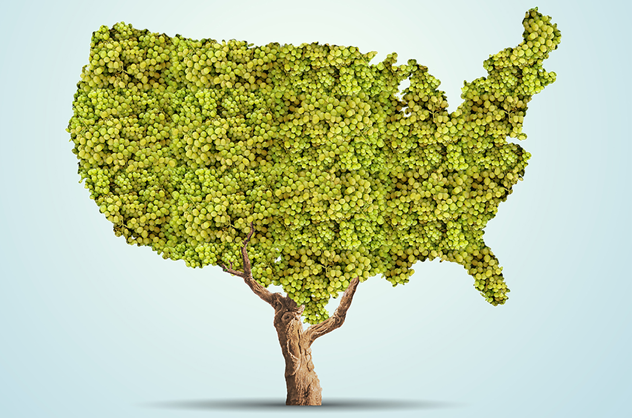 America's finest vineyards