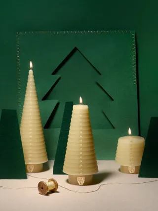 Sapin Advent Taper Candle