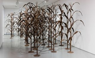 The centrepiece of the exhibition is a small, but life-sized tall, crop of maize crafted in steel