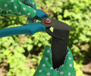 Sharpening pruning shears