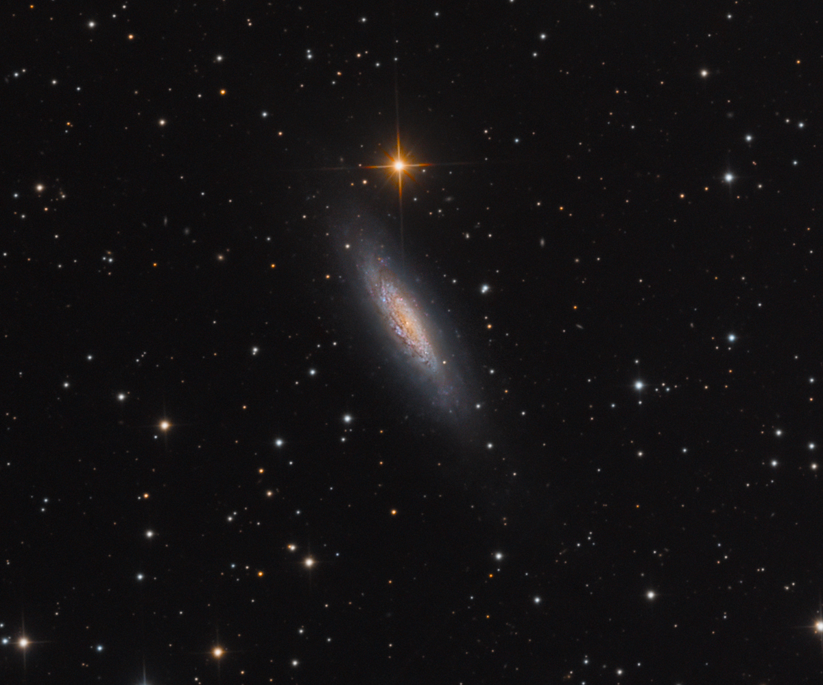 NGC 6503 Dwarf Spiral Galaxy Fera