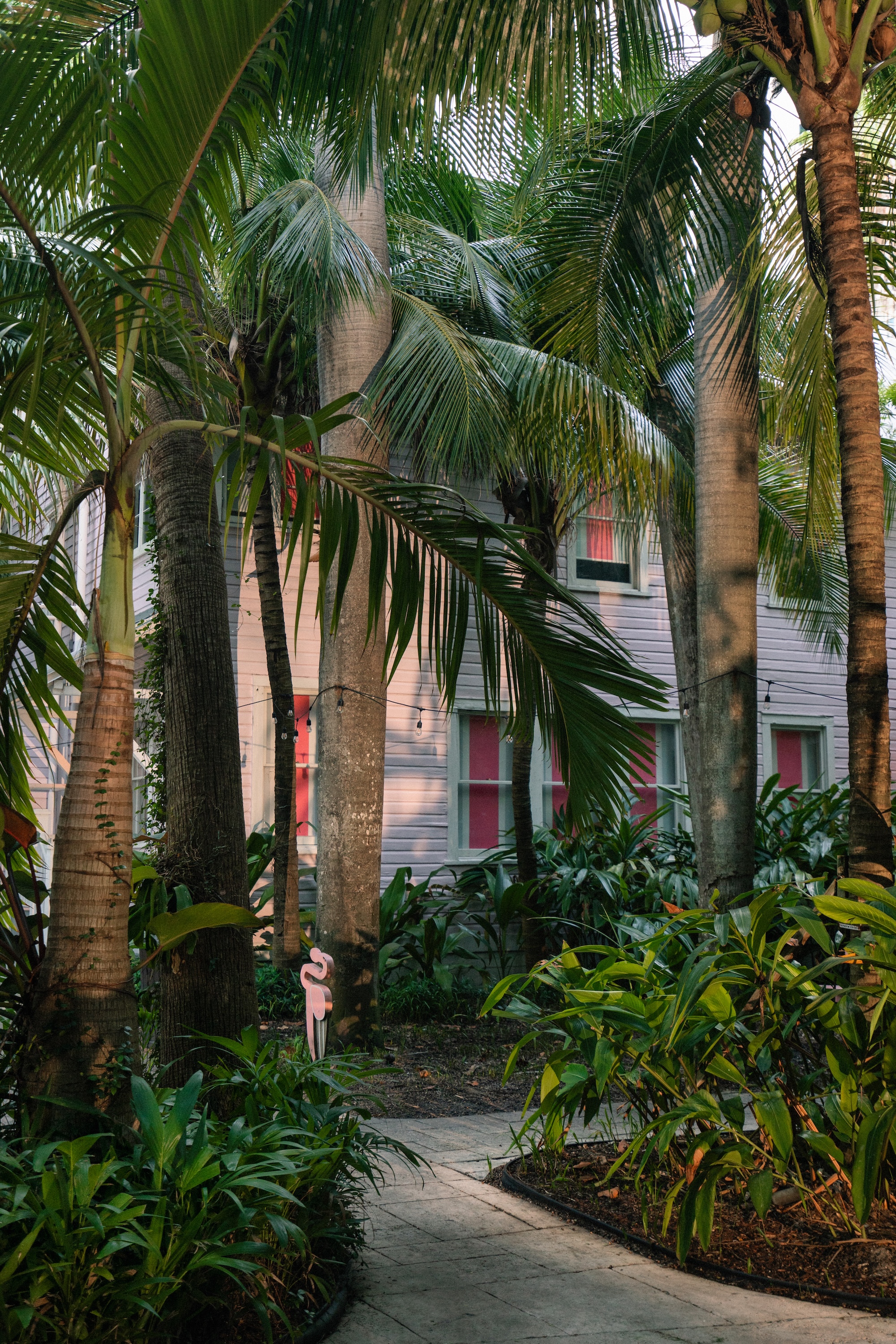 Alcova Miami 2025 view of river inn