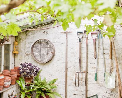 15 Thrifty Ideas To Grow A Garden For (Almost) Free | Gardening Know How