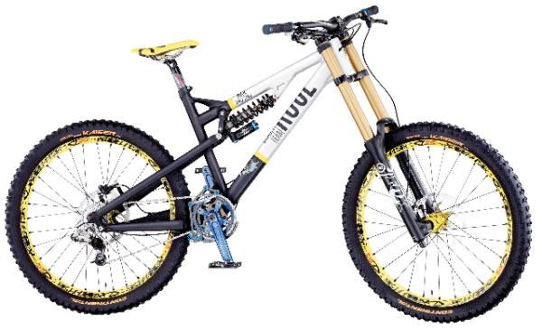 The Rose Vaujany team downhill bike