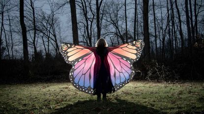A woman wears butterfly wings in a dark forest. 