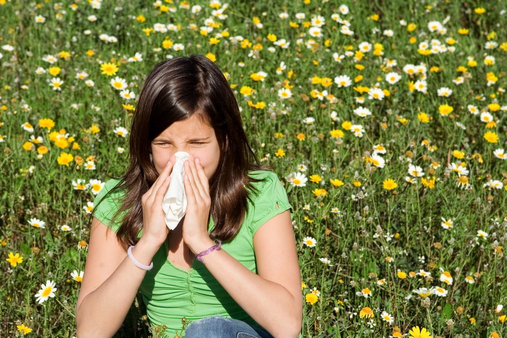 allergies, sneezing, hay fever