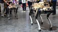 Quadrupedal robots on display at the pavilion of Norinco Group during the 15th China International Aviation and Aerospace Exhibition, or Airshow China 2024