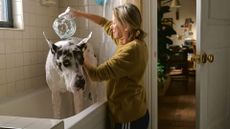 Naomi Watts in The Friend