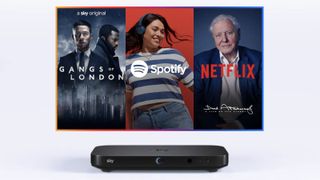 A Sky Q box below a TV showing Gangs of London, Spotify and a David Attenborough Netflix show
