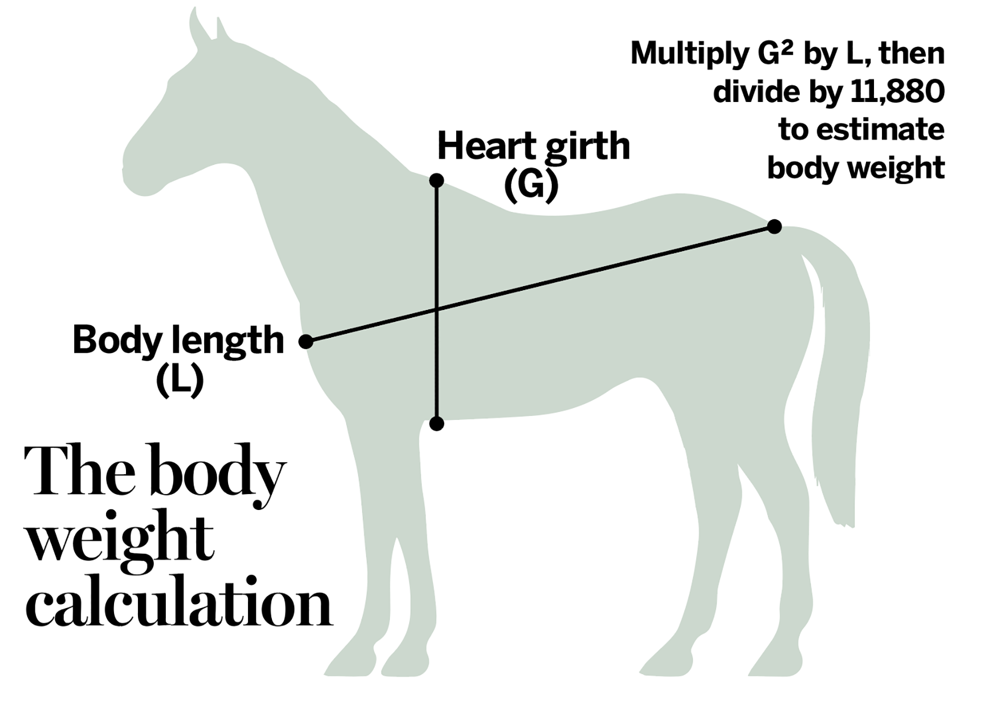 body-weight-calculation