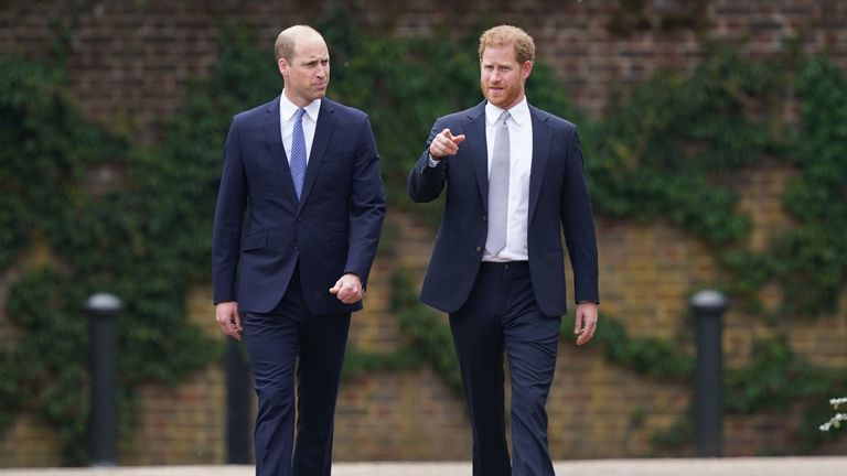 prince harry and prince william walking