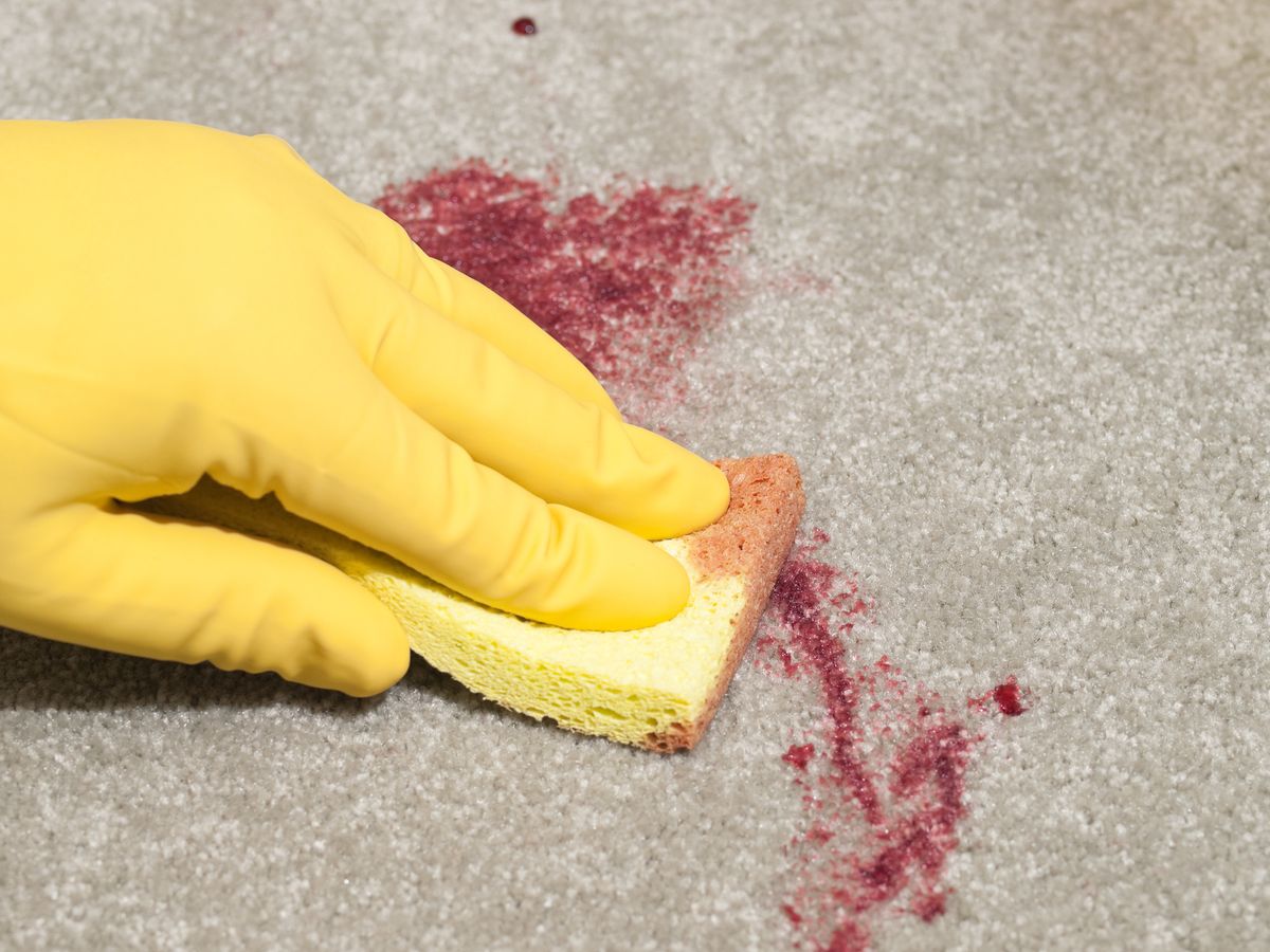 How to get blood out of a carpet without leaving a stain Real Homes