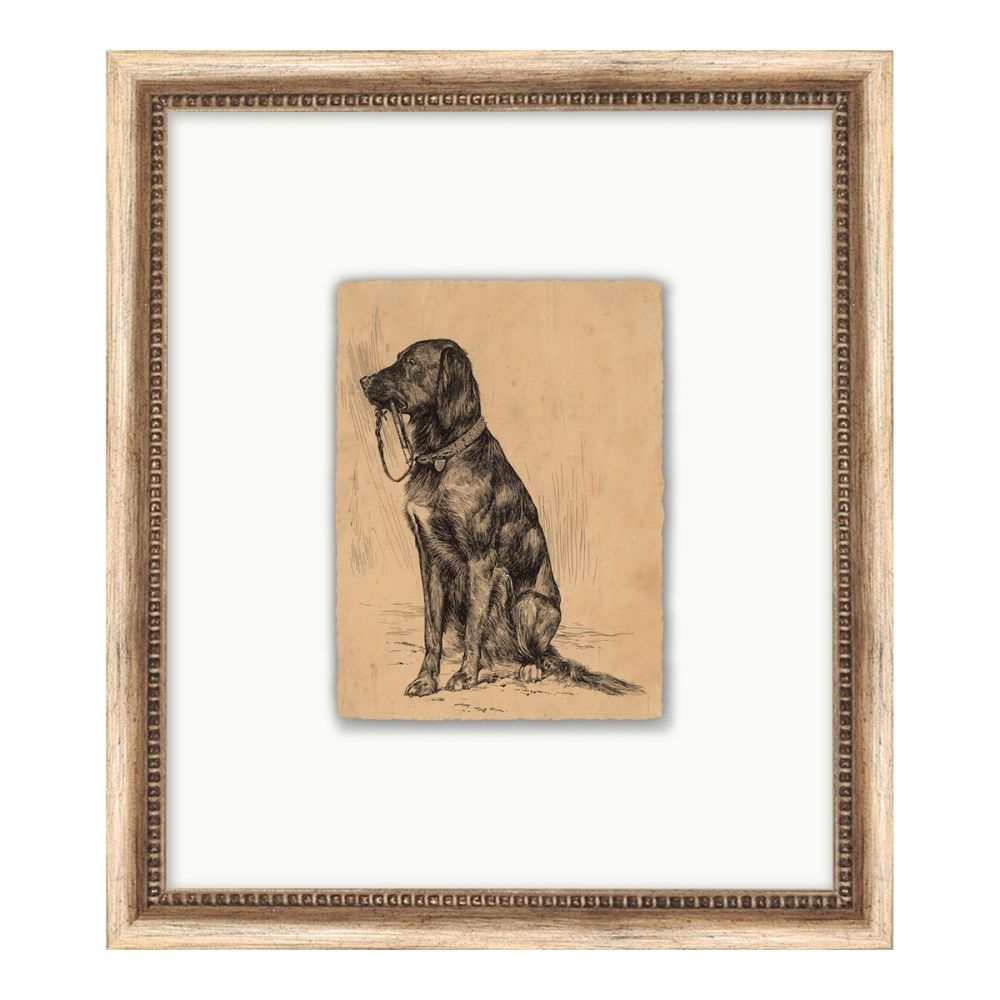 Good Boy Framed Print
