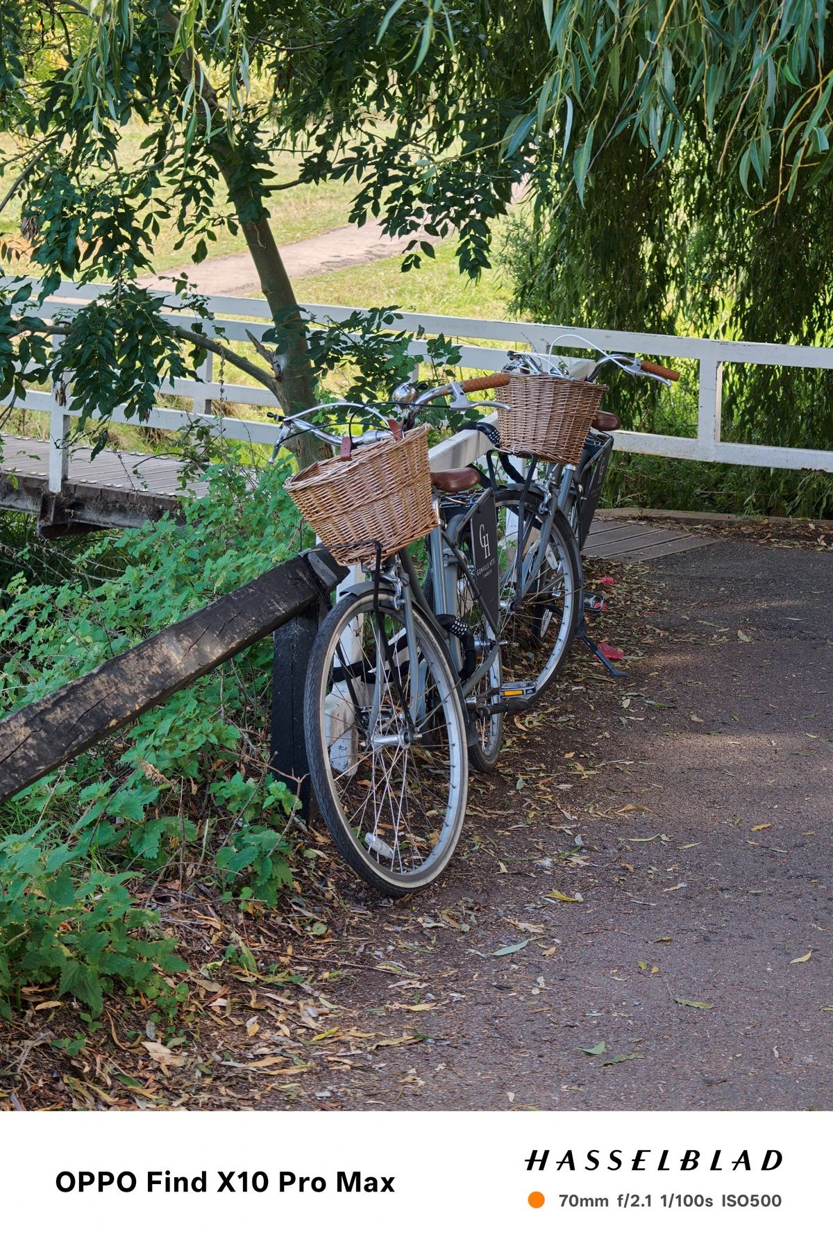 Two bicycles with wicker baskets parked beside a leafy riverside path.