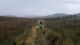 A hiker and their dog on the Great Glen Way