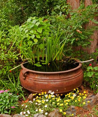 rusted cauldron water feature with pond plants