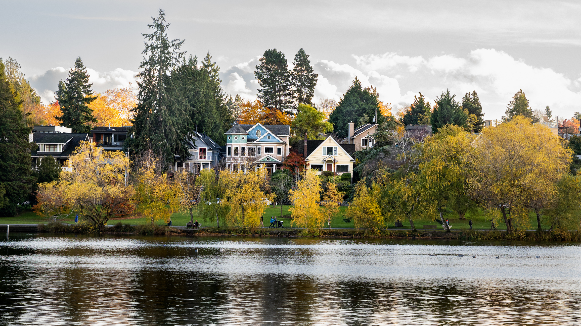 Scenic view of houses near a lake by trees in Seattle, Washington