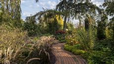 A curved brick path leads through a garden with flowers, grasses, and a large cedar tree