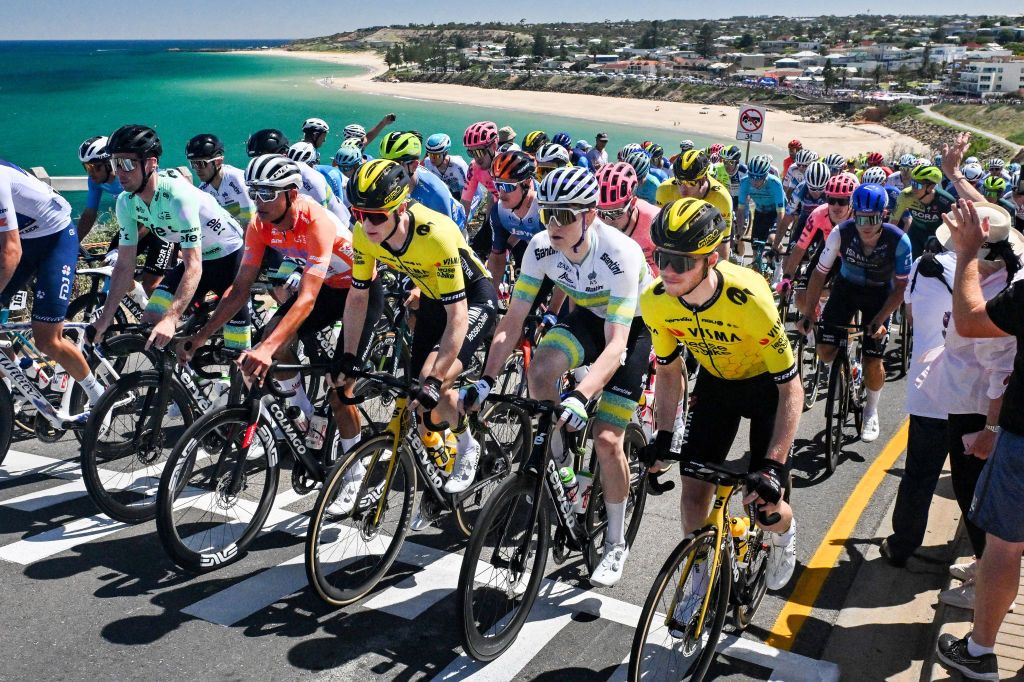 The peloton rides through the Fleurieu peninsula