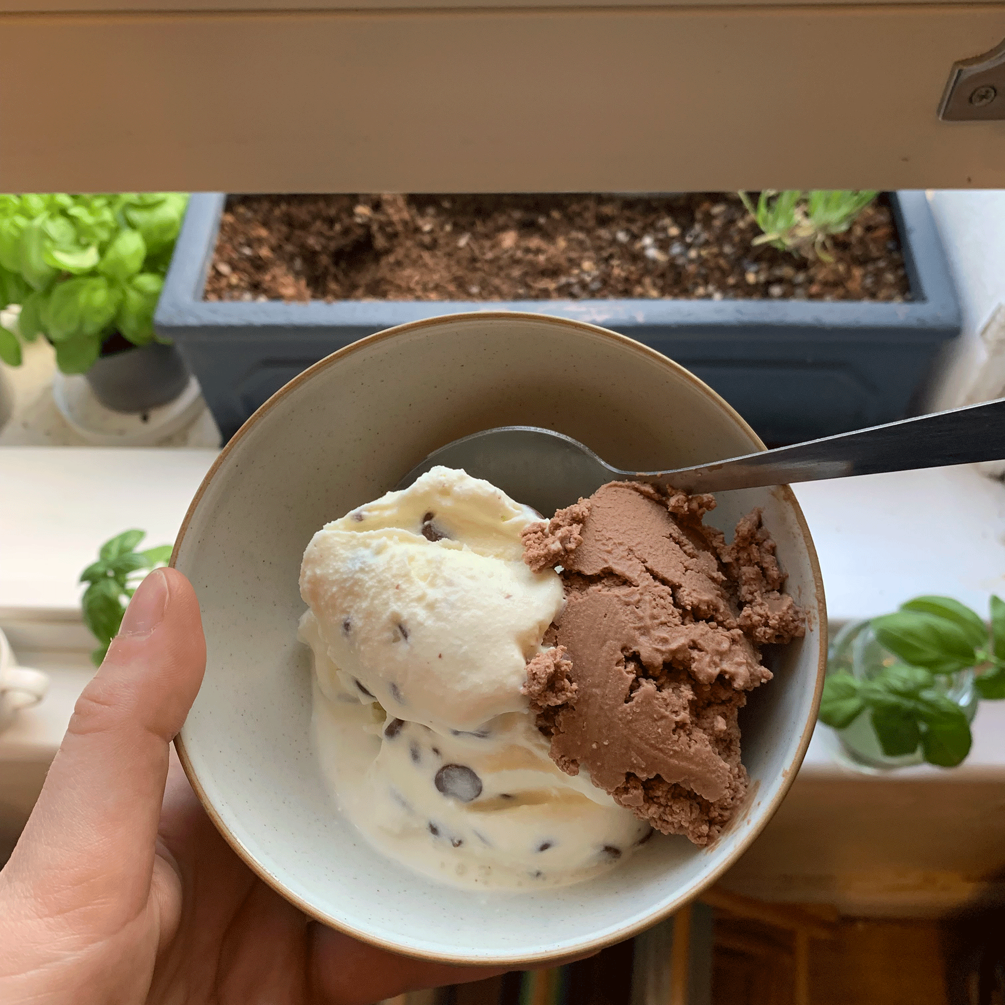 Blue bowl of ice cream in window