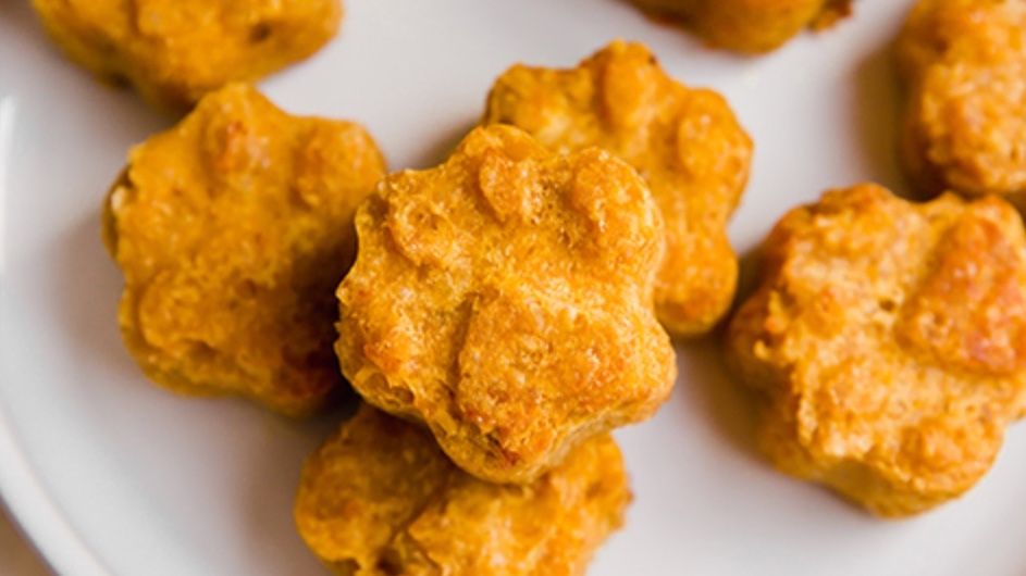 5 lipsmacking homemade Halloween cat treats PetsRadar