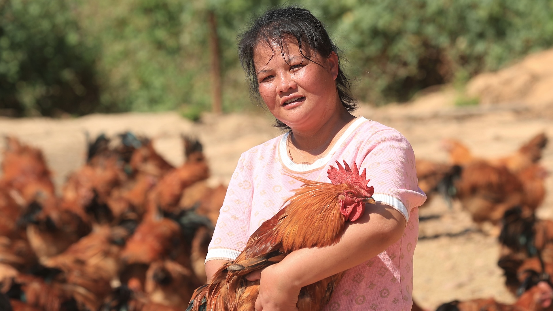 A Chinese woman holds a chicken with a field of chickens behind her