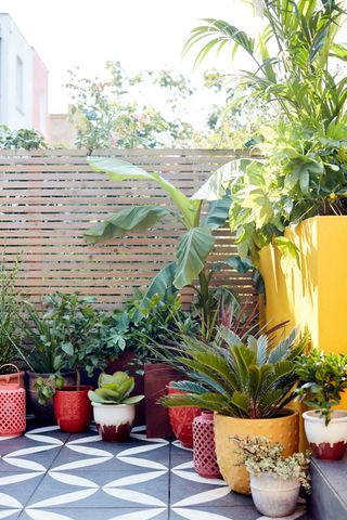 A tiled patio with tropical plants in pots and a slatted fence