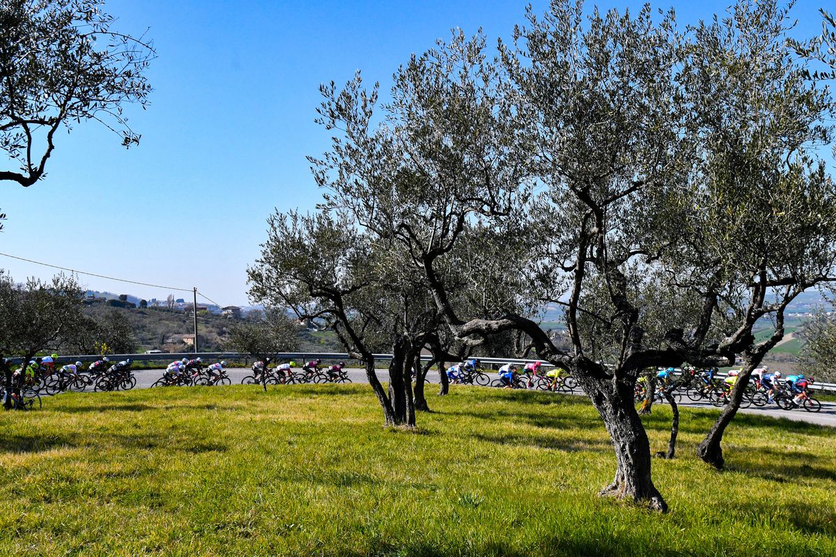 Settimana Internazionale Coppi e Bartali 2022 37th Edition 1st stage Riccione Riccione 1646 km 22032022 Scenery Peloton photo Tommaso PelagalliSprintCyclingAgency2022