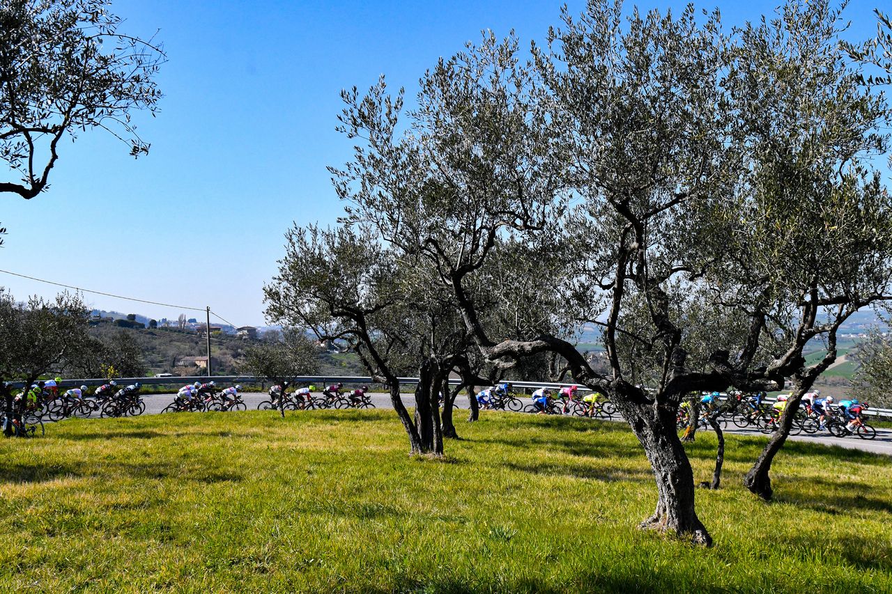 Settimana Internazionale Coppi e Bartali 2022 37th Edition 1st stage Riccione Riccione 1646 km 22032022 Scenery Peloton photo Tommaso PelagalliSprintCyclingAgency2022